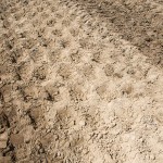Surface appearance after final pass with padded drum roller.